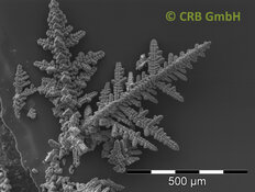 Dendriten aus Eisen-Mangan-Oxiden | © CRB Analyse Service GmbH