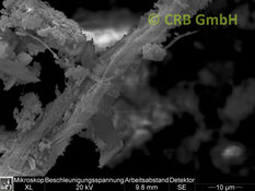 REM-Bild Chrysotil-Asbest in Magnesit | © CRB Analyse Service GmbH