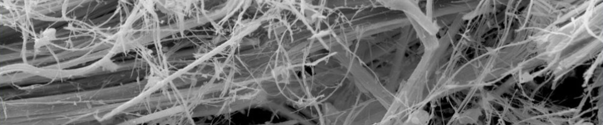 Imagen MEB de amianto crisotilo en cordons de asbesto | © CRB Analysis Service GmbH