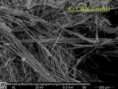 REM-Bild Amosit-Asbest in Spritzasbest | © CRB Analyse Service GmbH
