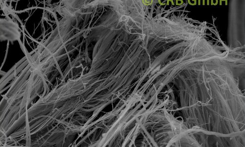 SEM-picture of chrysotile asbestos in asbestos bearing millboards | © CRB Analyse Service GmbH