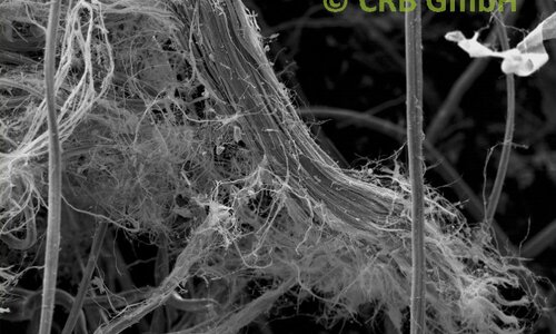 SEM-picture of chrysotile asbestos in felts | © CRB Analyse Service GmbH