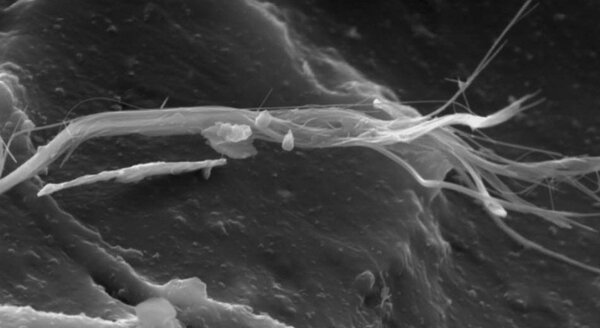 Colla su pannello Flor-Flex, fibre di amianto | © CRB Analyse Service GmbH